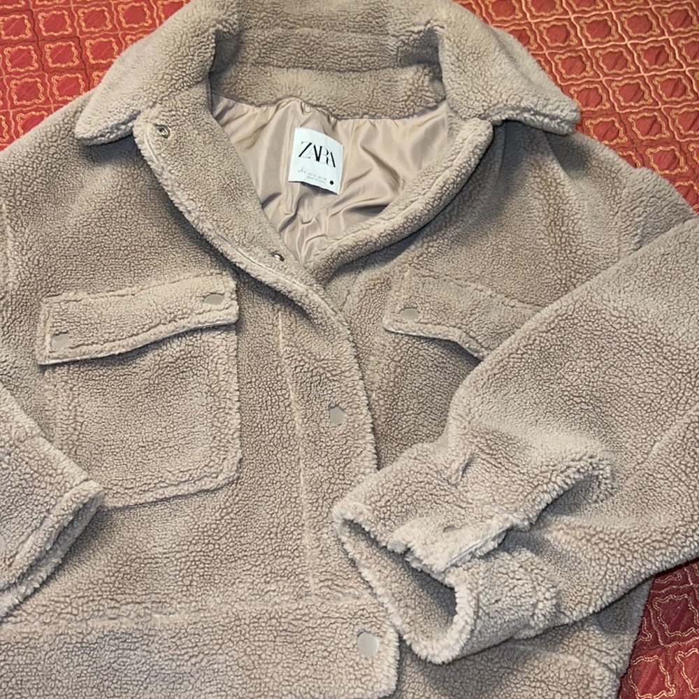 Like new Zara, short teddy bear jacket